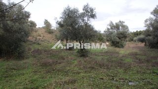Land for sale in Penamacor, Portugal — €17,000