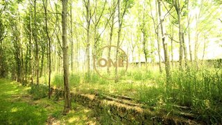 Land for sale in Vila Nova de Famalicão, Portugal — €142,000
