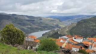Land for sale in Armamar, Portugal — €85,000