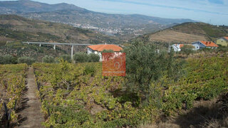 Land for sale in Lamego, Portugal — €170,000