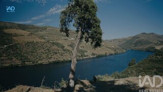 Terreno para venda em Tabuaço, Portugal — 910 000 €