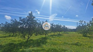 Terreno de 25 000 m² em Faro