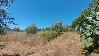 Land for sale in Arganil, Portugal — €15,000