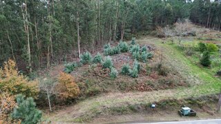 Land for sale in Vila Nova de Cerveira, Portugal — €50,000