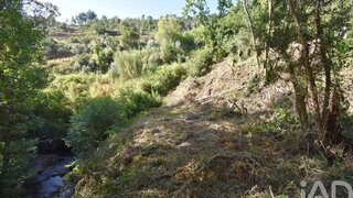 Land for sale in Penela, Portugal — €20,000