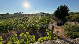 Land for sale in Peso da Régua, Portugal — €105,000