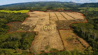 Land for sale in Madalena, Portugal — €975,000