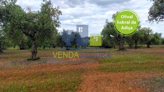 Terreno em Moura