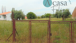 Land for sale in Tomar, Portugal — €80,000