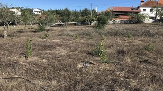 Land for sale in Ourém, Portugal — €54,000