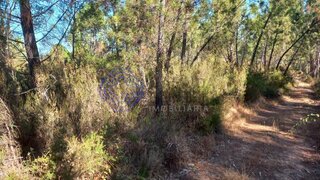 Land for sale in Tomar, Portugal — €13,000