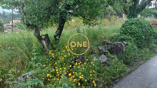 Land for sale in Condeixa-a-Nova, Portugal — €33,500