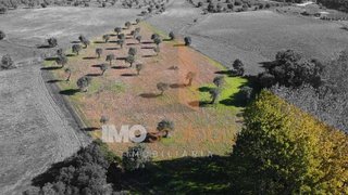 Terreno de 7200 m² em Santarém