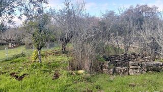 Land for sale in Ferreira do Zêzere, Portugal — €9,900