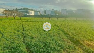 Land for sale in Albergaria-a-Velha, Portugal — €72,500