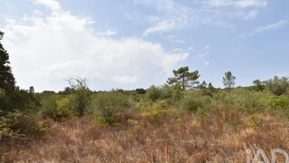 Land for sale in Ferreira do Zêzere, Portugal — €3,200