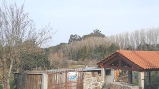 Land for sale in Carregal do Sal, Portugal — €40,000