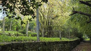 Land for sale in Santo Tirso, Portugal — €270,000
