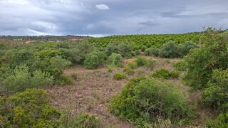 Terreno de 24 480 m² em Lagoa