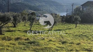 Land for sale in Marco de Canaveses, Portugal — €49,000