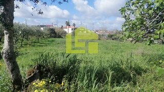 Land for sale in Condeixa-a-Nova, Portugal — €55,000