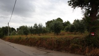 Land for sale in Condeixa-a-Nova, Portugal — €110,000
