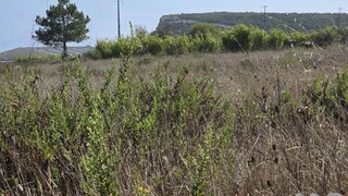 Land for sale in Sesimbra, Portugal — €290,000