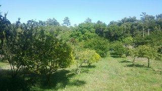 Land for sale in Alcanena, Portugal — €250,000