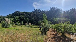 Land for sale in Mafra, Portugal — €49,900