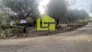 Terreno em Penela