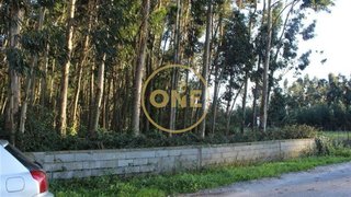 Terreno de 5962 m² em Aveiro