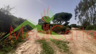 Terreno em Azambuja