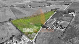 Land for sale in Alpiarça, Portugal — €77,500