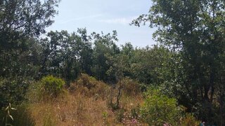 Terreno · 1560 m² · 5400 €