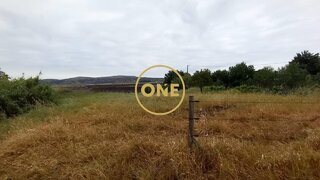 Land for sale in Chamusca, Portugal — €110,000