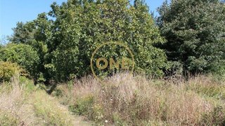Land for sale in Vila Nova de Famalicão, Portugal — €204,000
