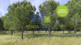 Land for sale in Moura, Portugal — €100,000