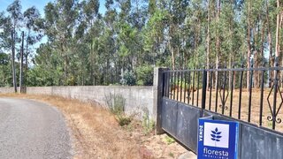 Terreno em Vila Verde · 6030 m² · 78 500 €