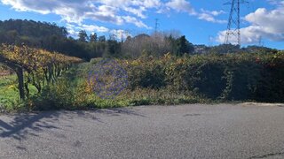 Land for sale in Paredes, Portugal — €35,000