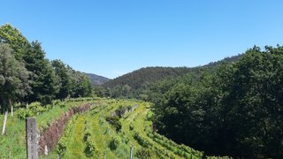 Land for sale in Amares, Portugal — €179,000