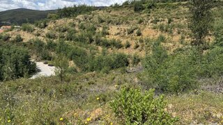 Land for sale in Castanheira de Pêra, Portugal — €43,000