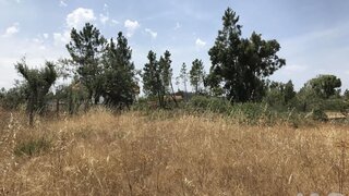 Land for sale in Ourém, Portugal — €39,950