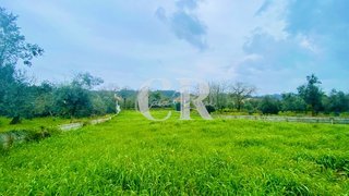 Land for sale in Alvaiázere, Portugal — €17,000