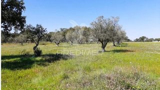 Land for sale in Odemira, Portugal — €725,000