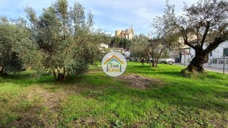 Terreno de 1813 m² em Coimbra