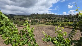 Land for sale in Vieira do Minho, Portugal — €37,600