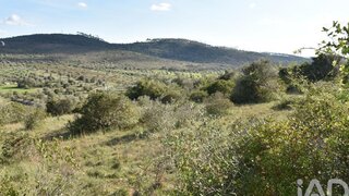 Land for sale in Ferreira do Zêzere, Portugal — €6,950