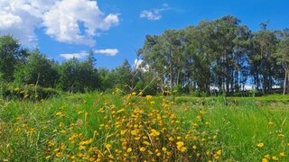 Land for sale in Penafiel, Portugal — €105,000