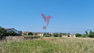 Terreno de 8700 m² em Coimbra