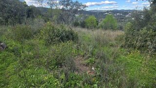 Land for sale in São Brás de Alportel, Portugal — €150,000
